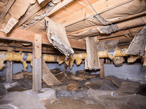 Insulation Removal and Cleanup - American Crawlspaces