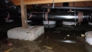 Water in your crawlspace is a common issue in the Seattle area. American Crawlspace can help.